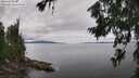 ./images/koeye/fitz-hugh/20260710/fitz-hugh20260710_135002M.jpg