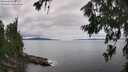 ./images/koeye/fitz-hugh/20260710/fitz-hugh20260710_135502M.jpg