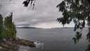 ./images/koeye/fitz-hugh/20260710/fitz-hugh20260710_142502M.jpg