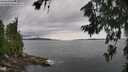 ./images/koeye/fitz-hugh/20260710/fitz-hugh20260710_143501M.jpg