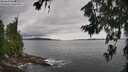 ./images/koeye/fitz-hugh/20260710/fitz-hugh20260710_144001M.jpg
