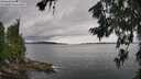 ./images/koeye/fitz-hugh/20260710/fitz-hugh20260710_144502M.jpg