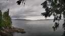 ./images/koeye/fitz-hugh/20260710/fitz-hugh20260710_145001M.jpg