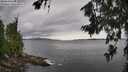 ./images/koeye/fitz-hugh/20260710/fitz-hugh20260710_145501M.jpg