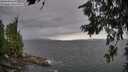 ./images/koeye/fitz-hugh/20260710/fitz-hugh20260710_152502M.jpg