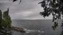 ./images/koeye/fitz-hugh/20260710/fitz-hugh20260710_154001M.jpg