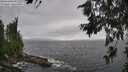 ./images/koeye/fitz-hugh/20260710/fitz-hugh20260710_154501M.jpg