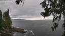 ./images/koeye/fitz-hugh/20260710/fitz-hugh20260710_160501M.jpg