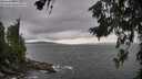 ./images/koeye/fitz-hugh/20260710/fitz-hugh20260710_161002M.jpg