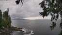 ./images/koeye/fitz-hugh/20260710/fitz-hugh20260710_163002M.jpg