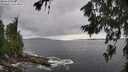 ./images/koeye/fitz-hugh/20260710/fitz-hugh20260710_165001M.jpg