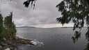 ./images/koeye/fitz-hugh/20260710/fitz-hugh20260710_170001M.jpg