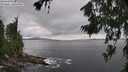 ./images/koeye/fitz-hugh/20260710/fitz-hugh20260710_170501M.jpg