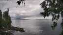 ./images/koeye/fitz-hugh/20260710/fitz-hugh20260710_172001M.jpg