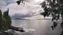 ./images/koeye/fitz-hugh/20260710/fitz-hugh20260710_174001M.jpg