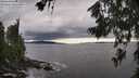 ./images/koeye/fitz-hugh/20260710/fitz-hugh20260710_181001M.jpg