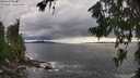 ./images/koeye/fitz-hugh/20260710/fitz-hugh20260710_182002M.jpg