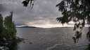 ./images/koeye/fitz-hugh/20260710/fitz-hugh20260710_194001M.jpg