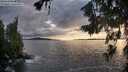 ./images/koeye/fitz-hugh/20260710/fitz-hugh20260710_202001M.jpg