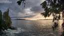 ./images/koeye/fitz-hugh/20260710/fitz-hugh20260710_202501M.jpg