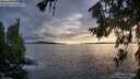 ./images/koeye/fitz-hugh/20260710/fitz-hugh20260710_203001M.jpg