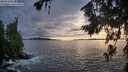 ./images/koeye/fitz-hugh/20260710/fitz-hugh20260710_203501M.jpg
