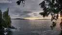 ./images/koeye/fitz-hugh/20260710/fitz-hugh20260710_205501M.jpg