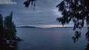 ./images/koeye/fitz-hugh/20260710/fitz-hugh20260710_222001M.jpg