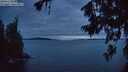 ./images/koeye/fitz-hugh/20260710/fitz-hugh20260710_223001M.jpg
