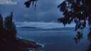 ./images/koeye/fitz-hugh/20260711/fitz-hugh20260711_045001M.jpg