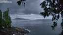 ./images/koeye/fitz-hugh/20260711/fitz-hugh20260711_051001M.jpg