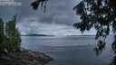 ./images/koeye/fitz-hugh/20260711/fitz-hugh20260711_051501M.jpg