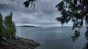 ./images/koeye/fitz-hugh/20260711/fitz-hugh20260711_053002M.jpg