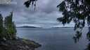 ./images/koeye/fitz-hugh/20260711/fitz-hugh20260711_053501M.jpg