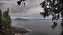 ./images/koeye/fitz-hugh/20260711/fitz-hugh20260711_061001M.jpg