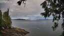 ./images/koeye/fitz-hugh/20260711/fitz-hugh20260711_063001M.jpg
