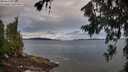 ./images/koeye/fitz-hugh/20260711/fitz-hugh20260711_063502M.jpg