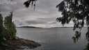 ./images/koeye/fitz-hugh/20260711/fitz-hugh20260711_065501M.jpg