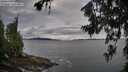 ./images/koeye/fitz-hugh/20260711/fitz-hugh20260711_070502M.jpg