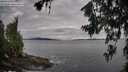 ./images/koeye/fitz-hugh/20260711/fitz-hugh20260711_071501M.jpg