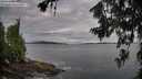 ./images/koeye/fitz-hugh/20260711/fitz-hugh20260711_072001M.jpg
