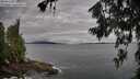 ./images/koeye/fitz-hugh/20260711/fitz-hugh20260711_073501M.jpg