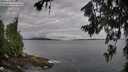 ./images/koeye/fitz-hugh/20260711/fitz-hugh20260711_074002M.jpg