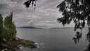 ./images/koeye/fitz-hugh/20260711/fitz-hugh20260711_074501M.jpg