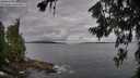 ./images/koeye/fitz-hugh/20260711/fitz-hugh20260711_080501M.jpg