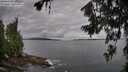 ./images/koeye/fitz-hugh/20260711/fitz-hugh20260711_081001M.jpg