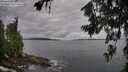 ./images/koeye/fitz-hugh/20260711/fitz-hugh20260711_081501M.jpg