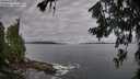 ./images/koeye/fitz-hugh/20260711/fitz-hugh20260711_083001M.jpg