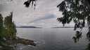 ./images/koeye/fitz-hugh/20260711/fitz-hugh20260711_084501M.jpg