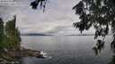 ./images/koeye/fitz-hugh/20260711/fitz-hugh20260711_092501M.jpg